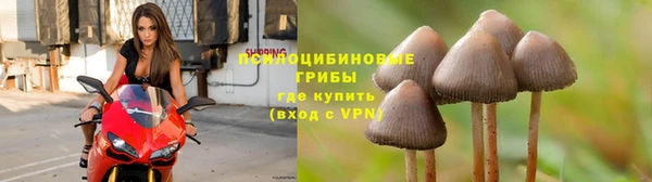 дмт Гусь-Хрустальный