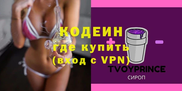 spice Дмитриев
