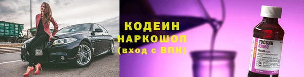дмт Гусев