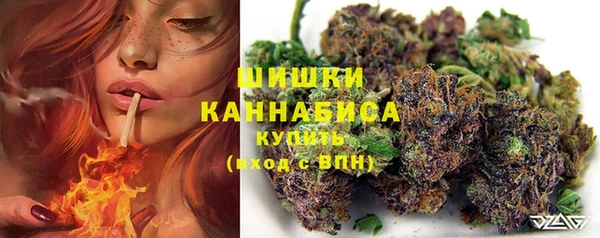 твердый Дмитров