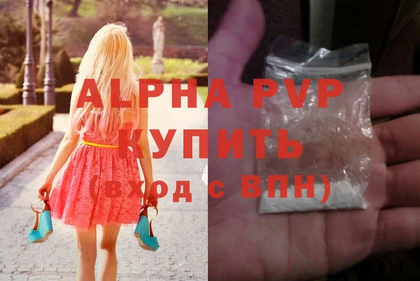 дмт Гусев