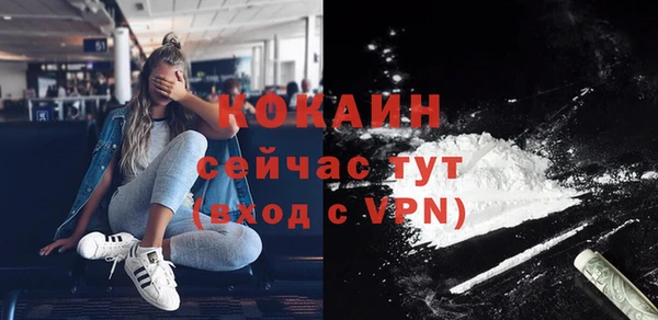 дмт Гусев