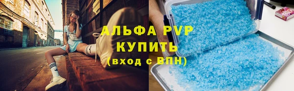 дмт Гусев