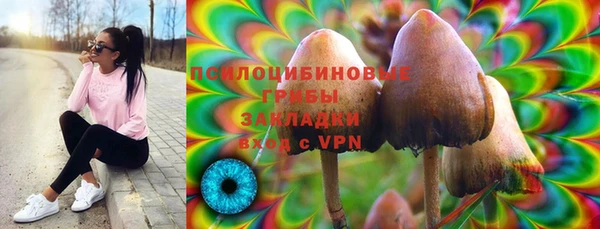 дмт Гусь-Хрустальный