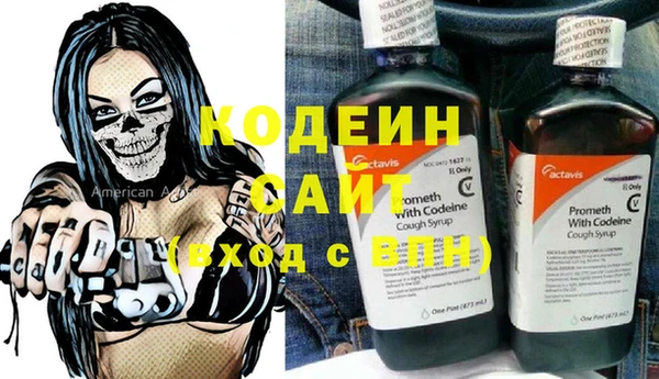 дмт Гусев