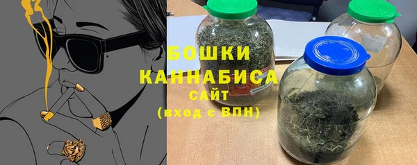 дмт Гусев